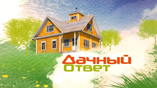 Дачный ответ